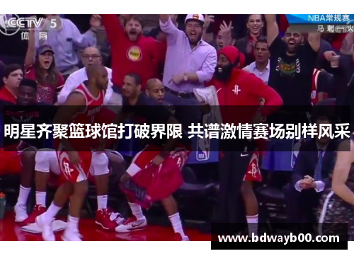 明星齐聚篮球馆打破界限 共谱激情赛场别样风采