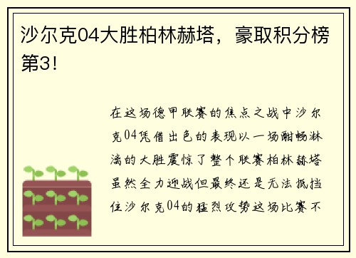 沙尔克04大胜柏林赫塔，豪取积分榜第3！